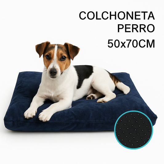 Cama para Perros 50x70 cm – Colchoneta Suave y Confortable Camas de Perro Antideslizante y Lavable